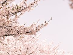 -龙美术馆(西岸馆)