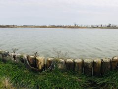 -春花秋色城市公园