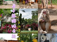 -海南热带野生动植物园