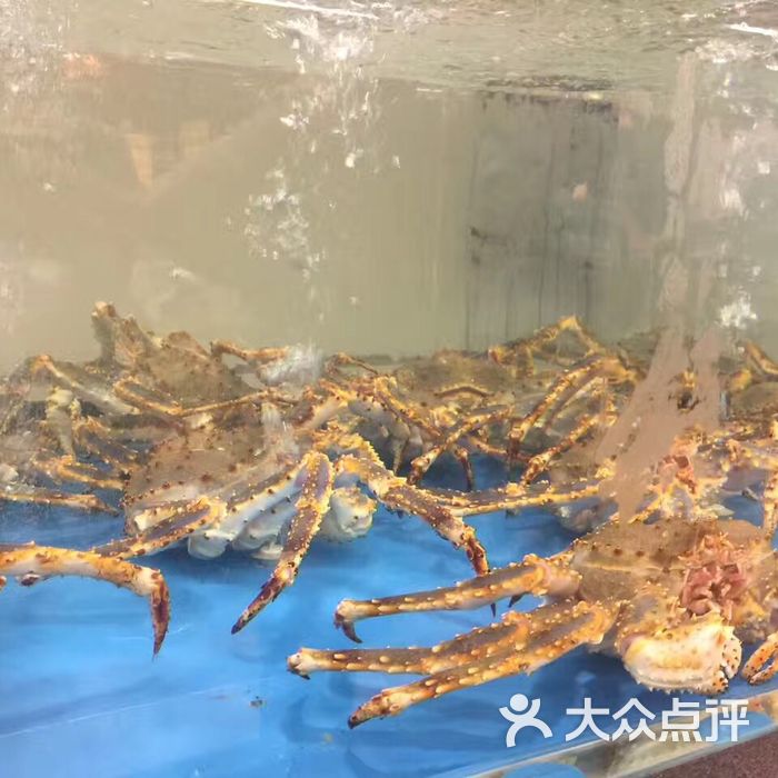 三甲港海鲜批发市场