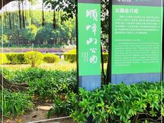 -顺峰山公园