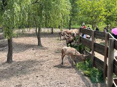 -溱湖国家湿地公园