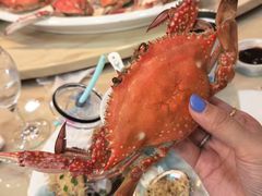-吕四渔港码头海鲜餐厅