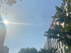 -上海市第十人民医院(总院)
