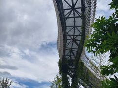 -福道