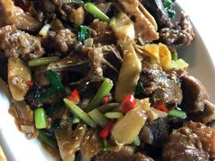 子姜鸭-生态苑农庄(十里画廊遇龙河店)