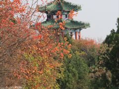 -北京西山国家森林公园