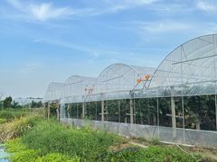 -马陆小张葡萄园农家乐