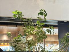 -gaga(深圳福田星河COCO Park店)