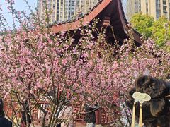 -堤角公园