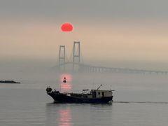 -宝安西湾红树林湿地公园