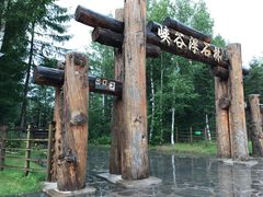 -峡谷浮石林景区