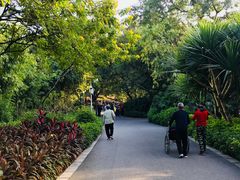 -晓港公园