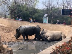 -西安秦岭野生动物园