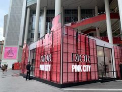 -Dior迪奥(上海世茂广场店)
