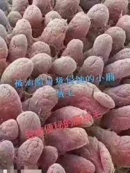 -可丽可心身材管理中心