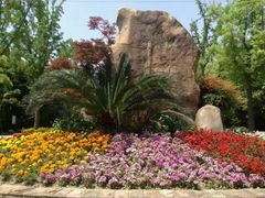 -苏州河梦清园环保主题公园