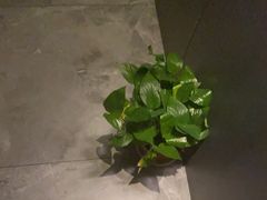 -禧瑞 ·丝浴主题·水疗·spa(中山公园店)