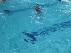 -南宫温泉水世界