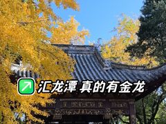 -汇龙潭
