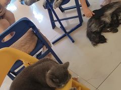 -平行世界·猫咖(首经贸店)