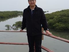 -北海金海湾红树林生态旅游区