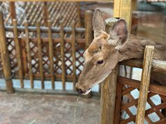 -杭州开元森泊度假乐园