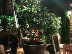 -前海沿·青岛菜(大拇指广场石老人店)