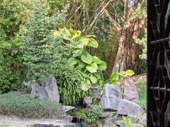 -厦门园林博览苑