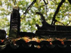 -上海醉白池公园