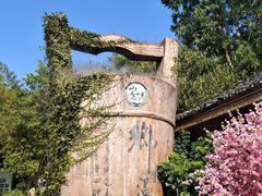 -观澜山水田园