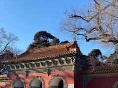 -沈阳市东陵公园