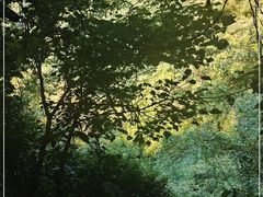 -古龙峡云天玻霸