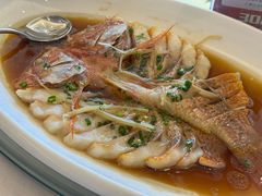 -骏莱海鲜鱼港(五角场店)