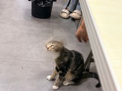 -重庆麻辣烫(国权路店)