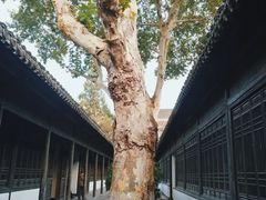 -南京中国近代史遗址博物馆(南京总统府)