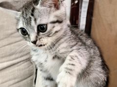 -觅时光手作·香薰·拼豆豆·陶艺DIY