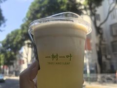 -一树一叶·福建茶档(石鼓路店)
