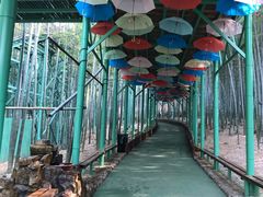 -陶祖圣境风景区