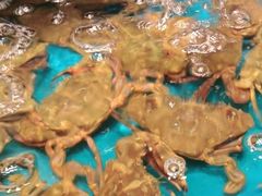 -SEA西雅图海鲜自助餐厅(海乐世界店)