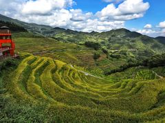 -紫鹊界梯田景区