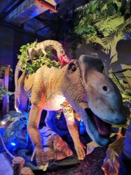 -恐龙探索乐园(磁器口店)