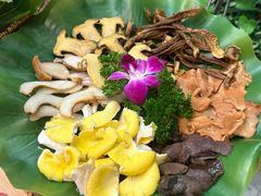 -大理董·董家小厨野生菌火锅(古城旗舰店)