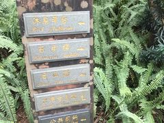 -蟹山公园