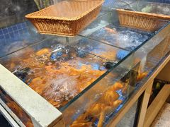 -头上红煨盐鸡·非遗院子餐厅
