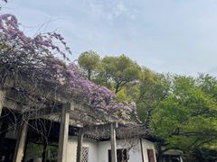 -西园戒幢律寺