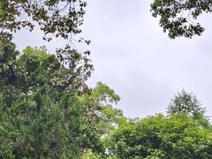 -东湖落雁景区