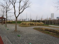 -上海山野camping·户外天幕烧烤·团建拓展营地
