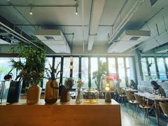 -the rug 飞毯 (朝阳公园店)