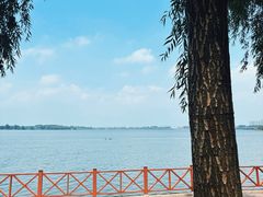-丁香湖公园